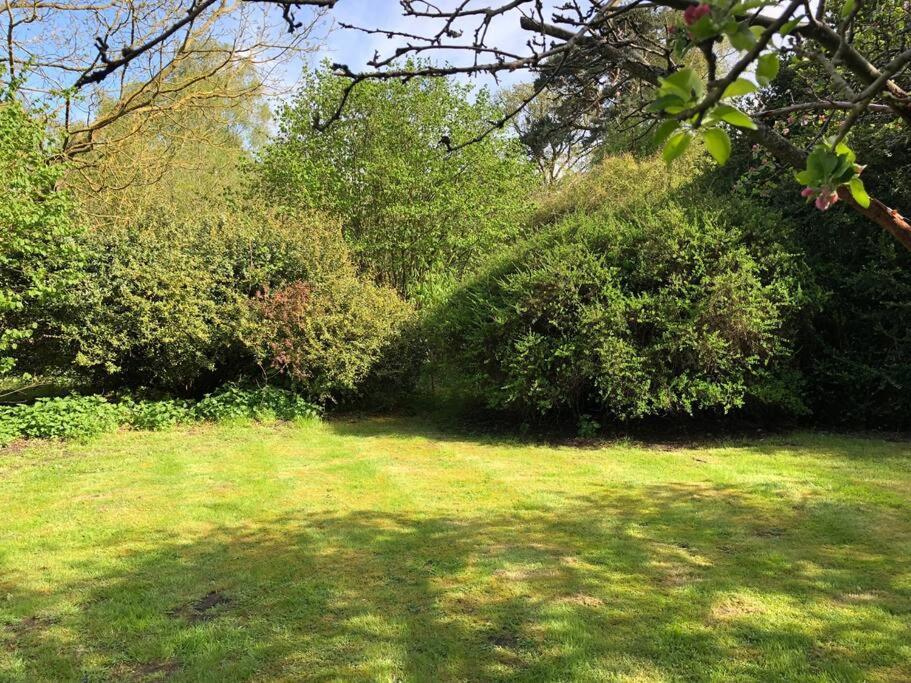 Forestry Cottage. Hot Tub, Open Fire, Dog Friendly Gaywood Exterior foto